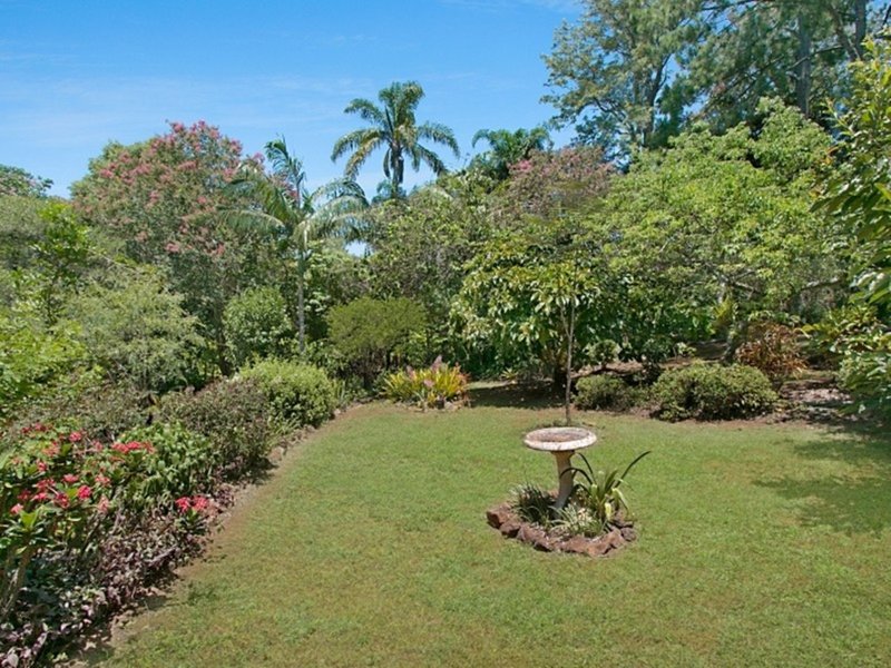 Photo - 53 Scenic Drive, Bilambil Heights NSW 2486 - Image 22