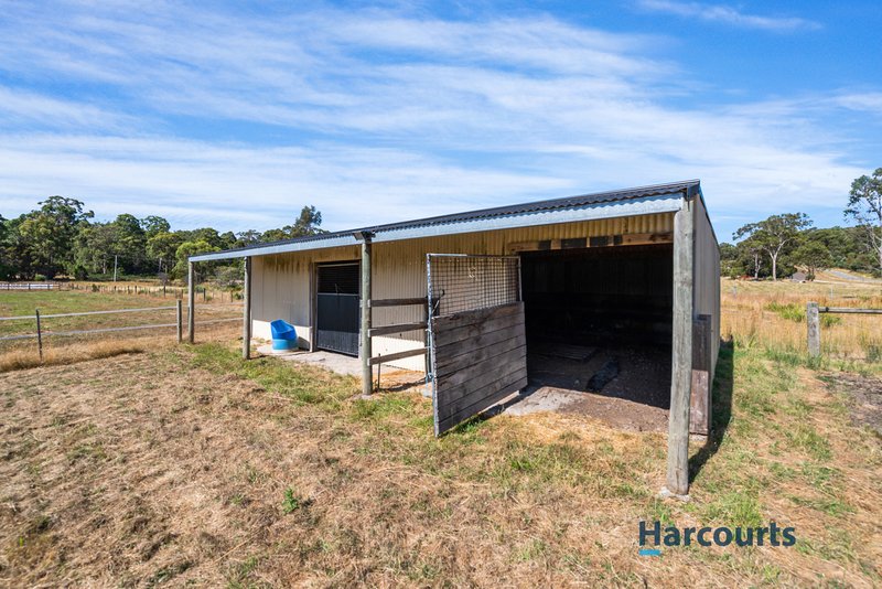 Photo - 53 Shaw Street, Latrobe TAS 7307 - Image 24