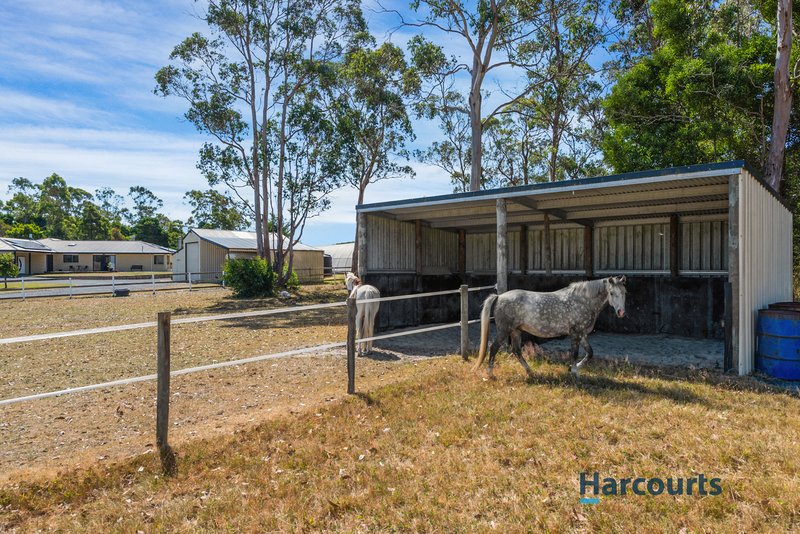 Photo - 53 Shaw Street, Latrobe TAS 7307 - Image 25