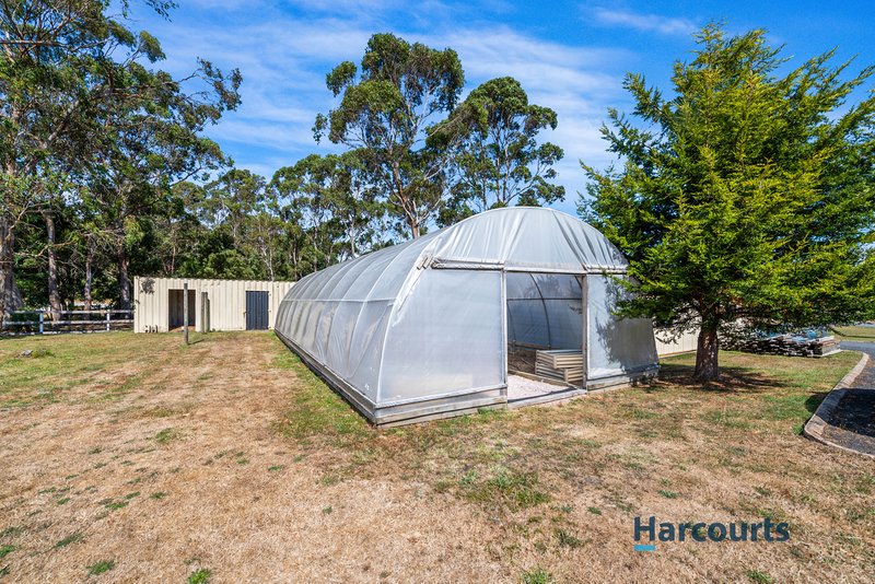 Photo - 53 Shaw Street, Latrobe TAS 7307 - Image 29