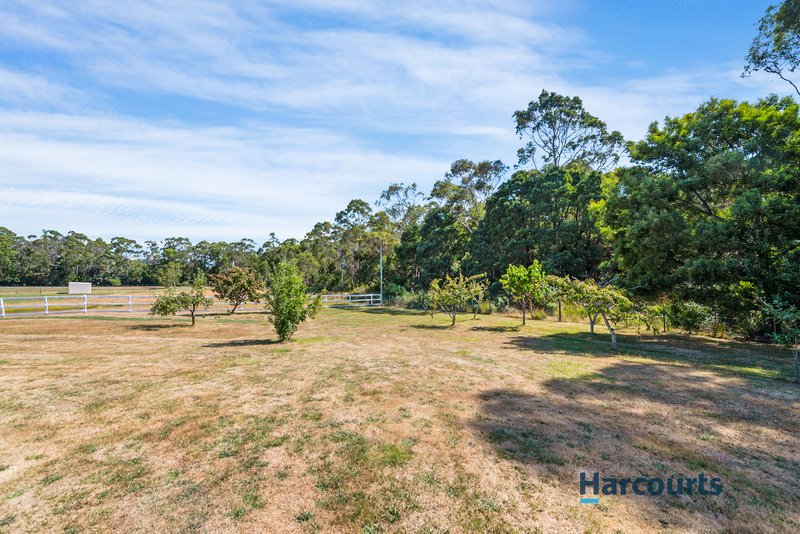 Photo - 53 Shaw Street, Latrobe TAS 7307 - Image 32