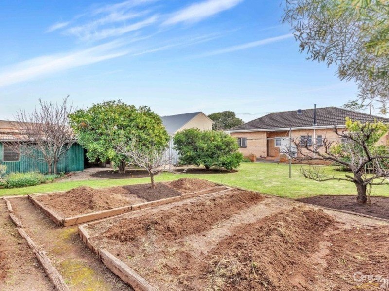 Photo - 53 Somers Street, North Brighton SA 5048 - Image 9