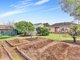 Photo - 53 Somers Street, North Brighton SA 5048 - Image 9