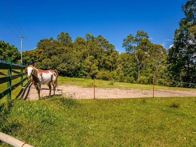 Photo - 53 Somerset Drive, Mudgeeraba QLD 4213 - Image 5