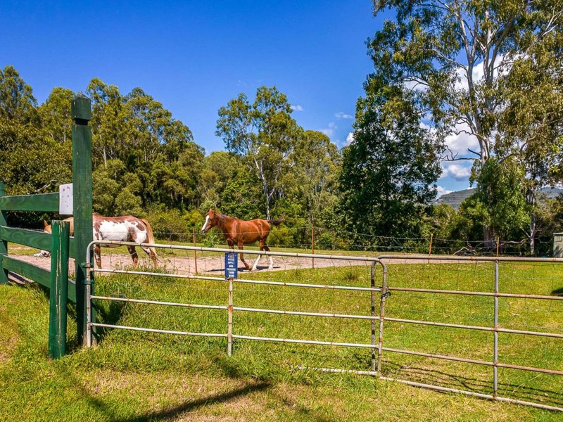 Photo - 53 Somerset Drive, Mudgeeraba QLD 4213 - Image 6