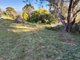 Photo - 53 St Helens Point Road, Stieglitz TAS 7216 - Image 5