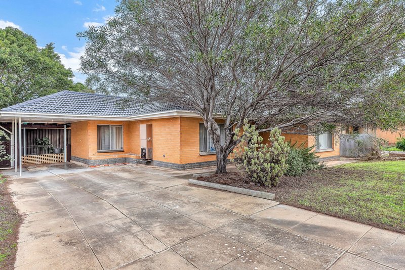 53 Suzanne Avenue, Morphett Vale SA 5162