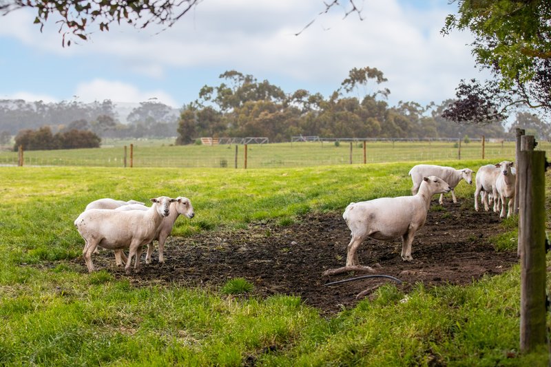 Photo - 530 Clifton Road, Athlone VIC 3818 - Image 14