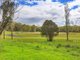 Photo - 530 Redhills Road, Fitzroy Falls NSW 2577 - Image 9