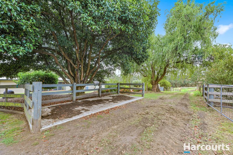 Photo - 531 Coalville Road, Hernes Oak VIC 3825 - Image 32