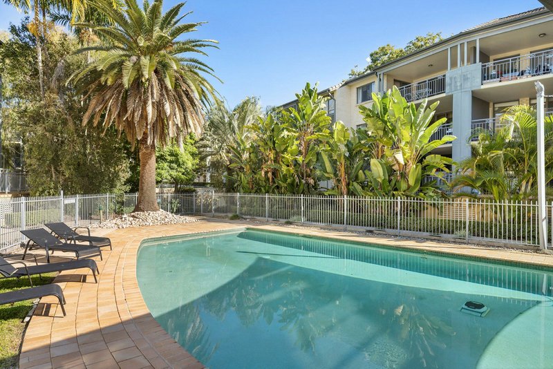 Photo - 53/139 Macquarie Street, St Lucia QLD 4067 - Image 14