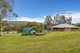 Photo - 532 Webbers Creek Road, Paterson NSW 2421 - Image 17