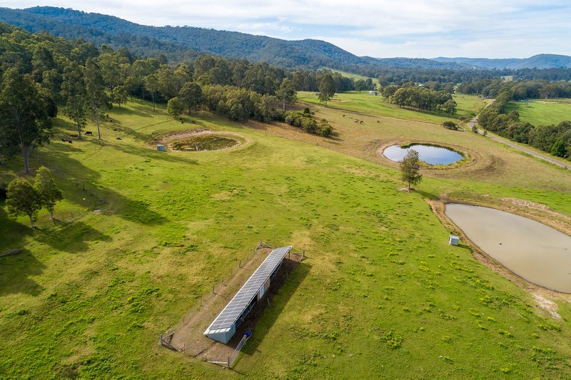 Photo - 532 Webbers Creek Road, Paterson NSW 2421 - Image 18