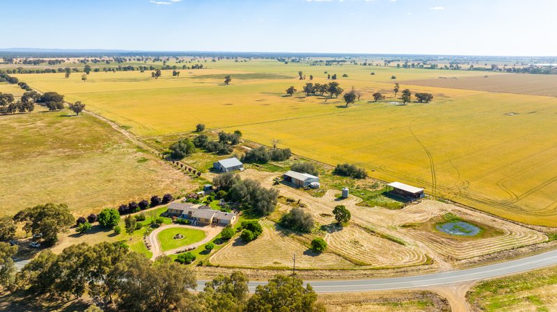 Photo - 533 Redlands Road, Corowa NSW 2646 - Image 13