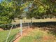 Photo - 534 Blowering Road, Tumut NSW 2720 - Image 21