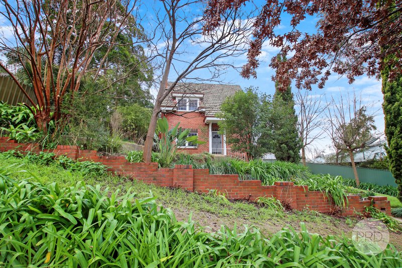 Photo - 534 Cowper Street, Albury NSW 2640 - Image 2