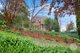 Photo - 534 Cowper Street, Albury NSW 2640 - Image 2