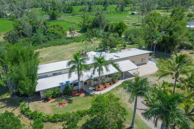 Photo - 534 Sugarloaf Road, Riordanvale QLD 4800 - Image 5