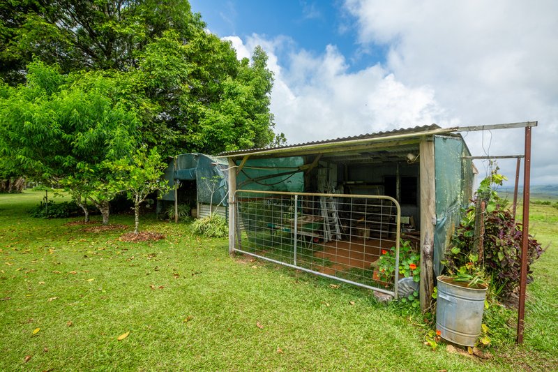 Photo - 5373 Palmerston Highway, Millaa Millaa QLD 4886 - Image 15