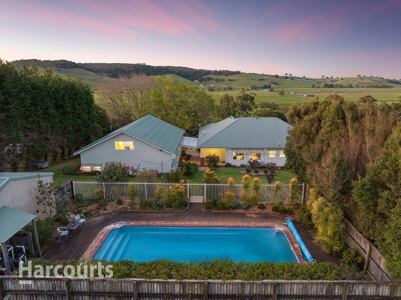 Photo - 539 Jamberoo Road, Jamberoo NSW 2533 - Image 3