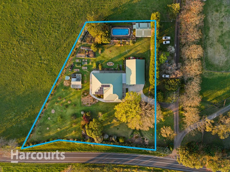 Photo - 539 Jamberoo Road, Jamberoo NSW 2533 - Image 23