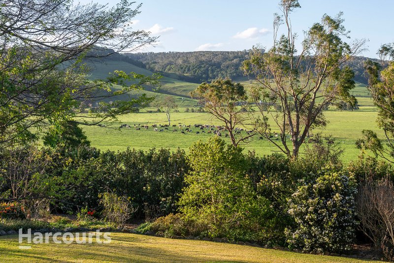 Photo - 539 Jamberoo Road, Jamberoo NSW 2533 - Image 34