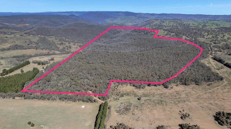 539 Razorback Road, Running Stream NSW 2850