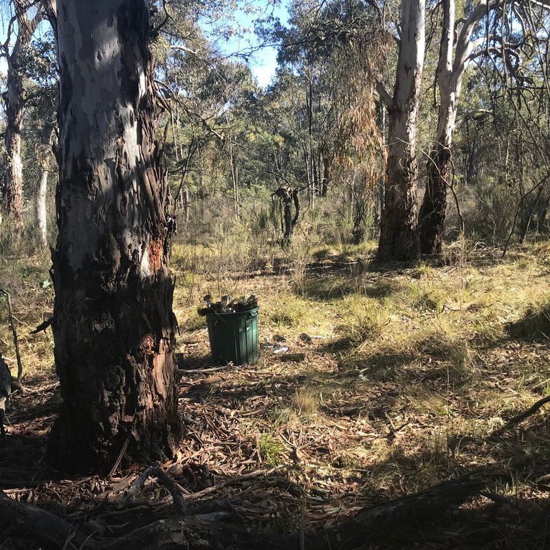 Photo - 539 Razorback Road, Running Stream NSW 2850 - Image 10