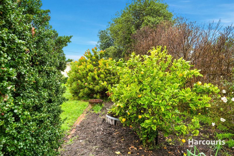 Photo - 54 Backhouse Lane, Cambridge TAS 7170 - Image 26
