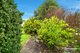 Photo - 54 Backhouse Lane, Cambridge TAS 7170 - Image 26