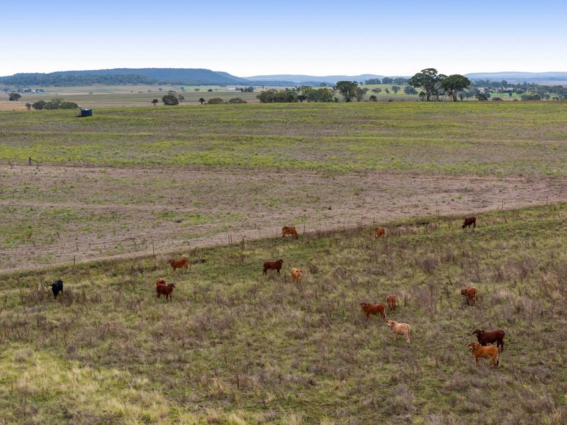 Photo - 54 Barlow Road, Greenmount QLD 4359 - Image 13