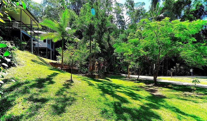 54 Barron Falls Road, Kuranda QLD 4881