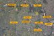 Photo - 54 Bonnie Rock Road, Austral NSW 2179 - Image 19