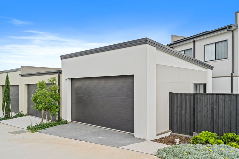 Photo - 54 Brangus Loop, Oran Park NSW 2570 - Image 7