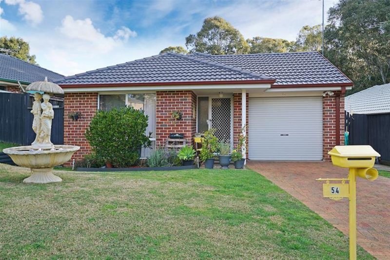 54 Burnett Avenue, Mount Annan NSW 2567