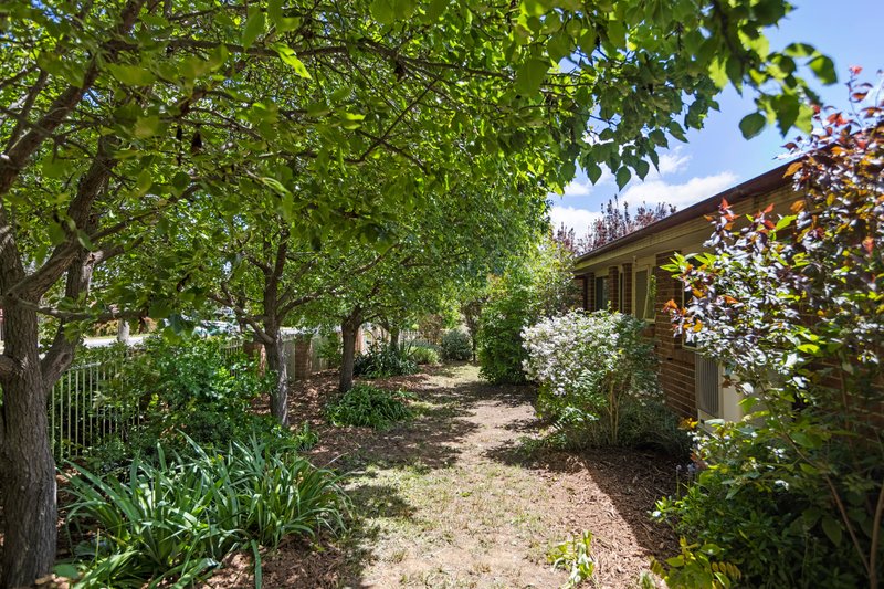 Photo - 54 Bywong Street, Sutton NSW 2620 - Image 15