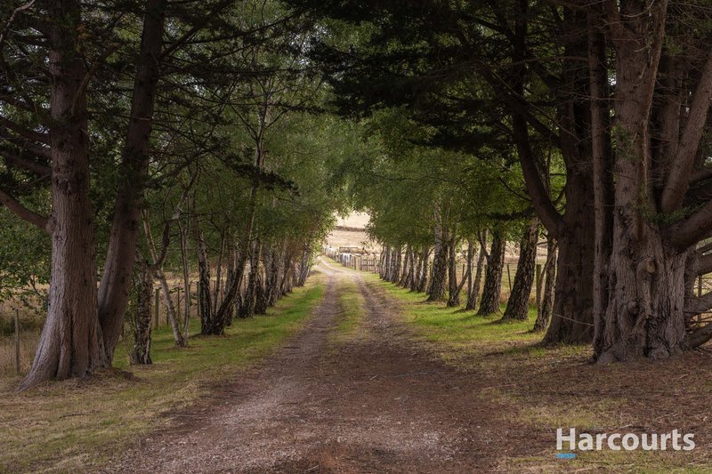 Photo - 54 Chesneys Road, Dunorlan TAS 7304 - Image 21