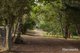Photo - 54 Chesneys Road, Dunorlan TAS 7304 - Image 22