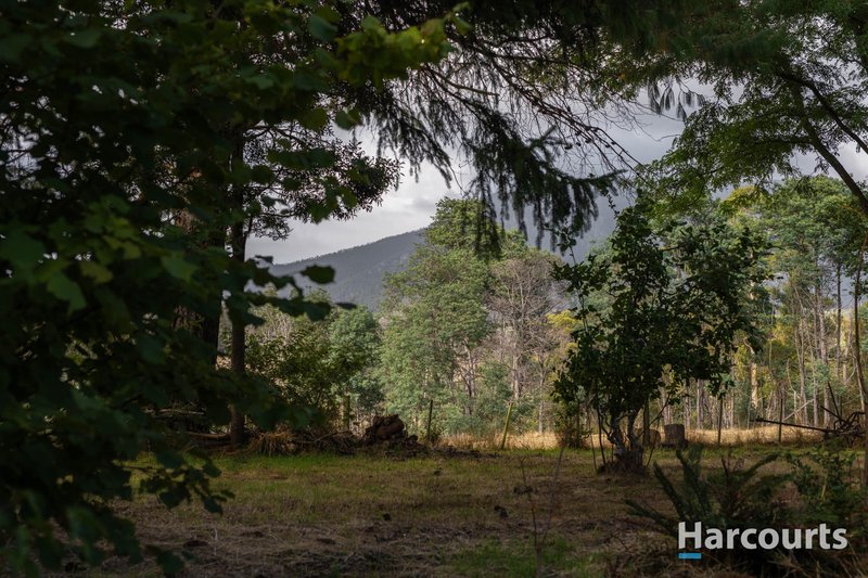 Photo - 54 Chesneys Road, Dunorlan TAS 7304 - Image 29