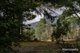 Photo - 54 Chesneys Road, Dunorlan TAS 7304 - Image 29