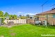 Photo - 54 Coachwood Crescent, Bradbury NSW 2560 - Image 10