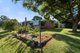Photo - 54 Cohoe Street, Rangeville QLD 4350 - Image 1