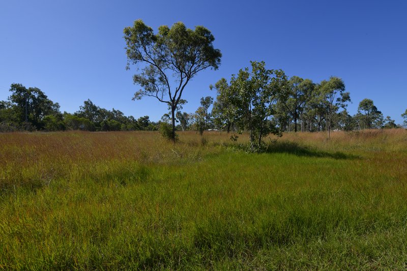 Photo - 54 Conder Parade, Midge Point QLD 4799 - Image 9