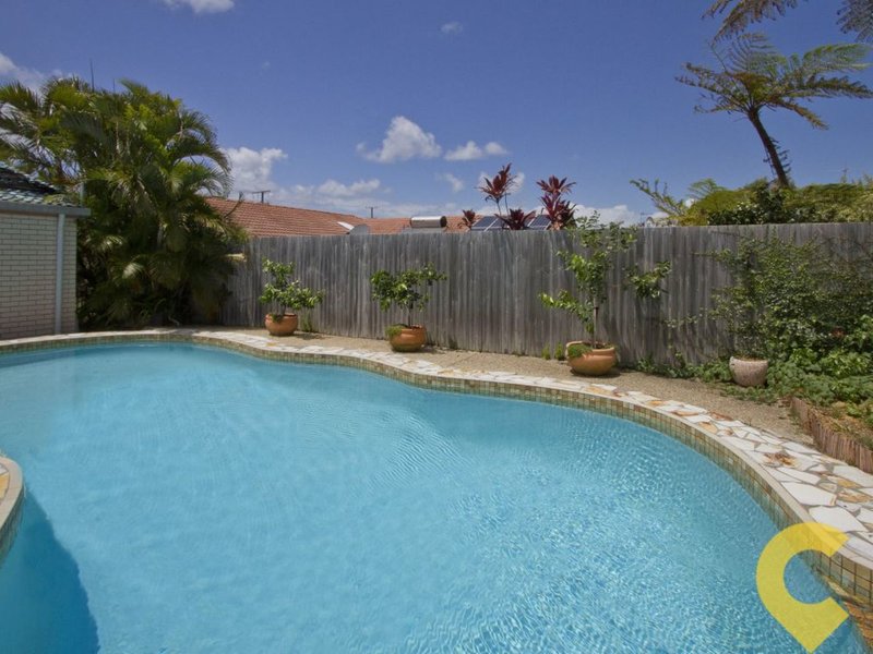 Photo - 54 Coonowrin Street, Battery Hill QLD 4551 - Image 4