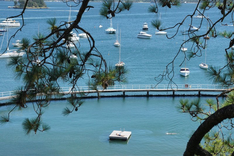 Photo - 54 Cranbrook Road, Bellevue Hill NSW 2023 - Image 16