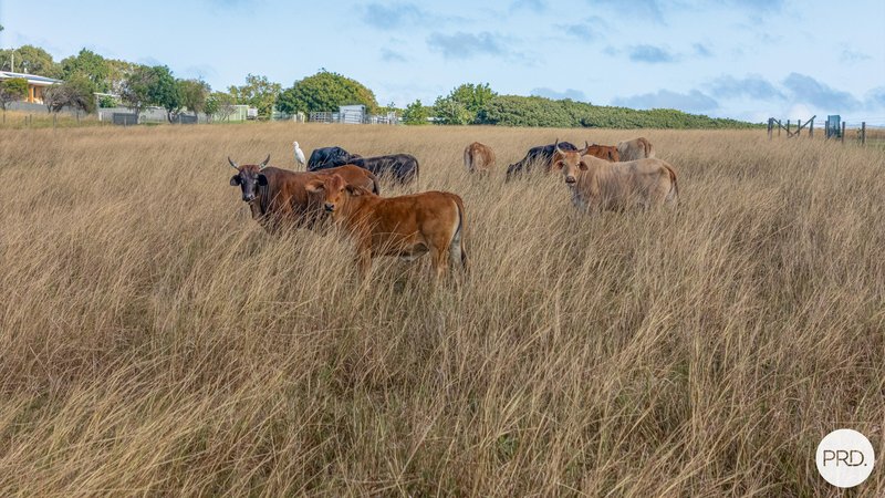 Photo - 54 Horsburgh Road, Hay Point QLD 4740 - Image 29