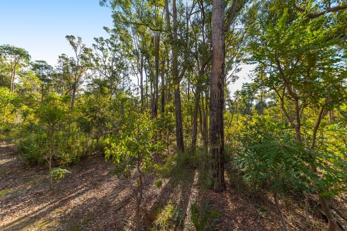 Photo - 54 Leschenaultia Drive, Nannup WA 6275 - Image 3