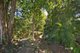 Photo - 54 Olive Grove, Balmoral QLD 4171 - Image 25