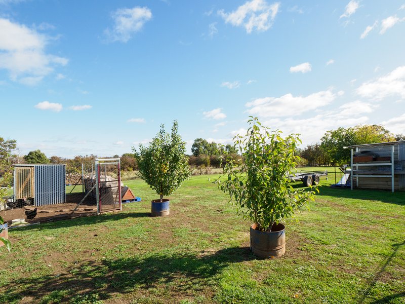 Photo - 54 Pensioners Row, Westbury TAS 7303 - Image 12