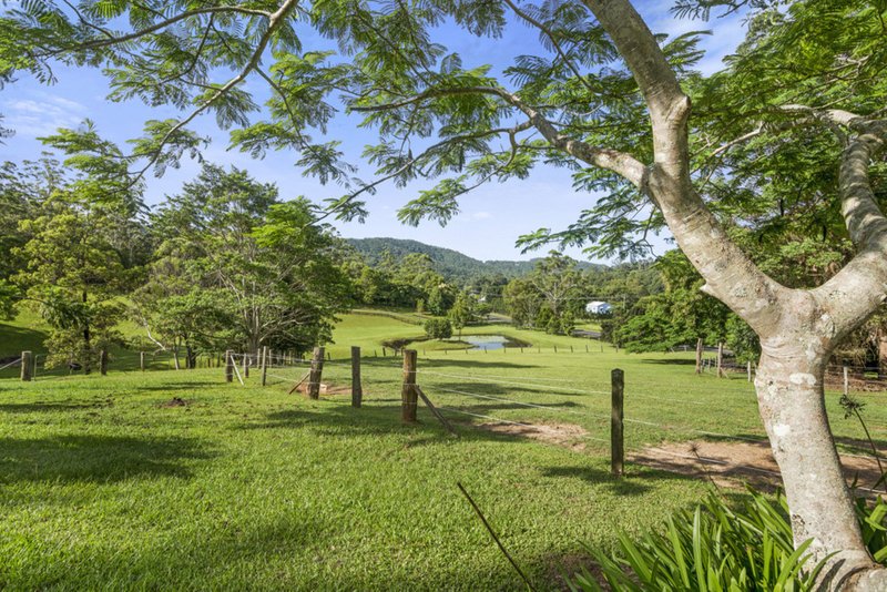 54 Petsch Creek Road, Tallebudgera Valley QLD 4228